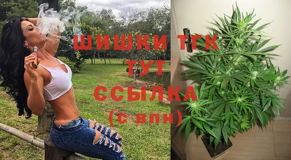 прущая мука Инсар