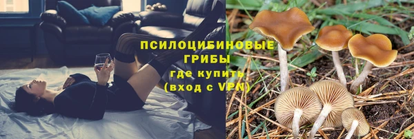 mdpv Дмитров