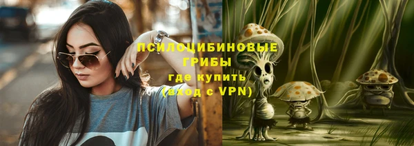 мет Аркадак