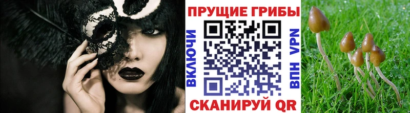 Галлюциногенные грибы MAGIC MUSHROOMS  кракен вход  Рыбинск 
